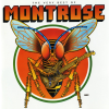 Discographie : Montrose
