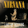 Discographie : Nirvana