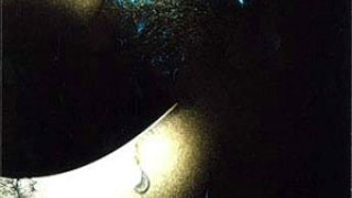 WILDPATH : "Underneath" 