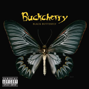 Black Butterfly (Eleven Seven Music)