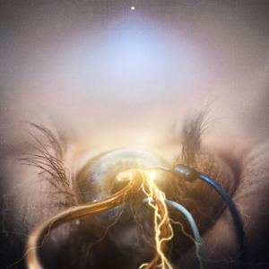 Eye Of Providence - The Agonist