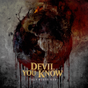 Discographie : Devil You Know