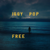 Discographie : Iggy Pop