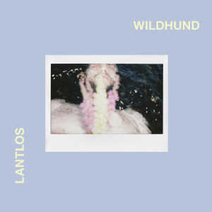 Wildhund - Lantlôs