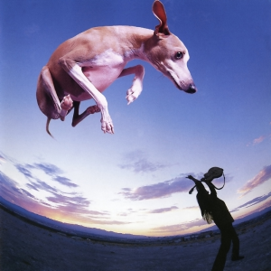 Flying Dog (Mercury Records)