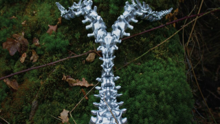 MYRKUR "Spine"