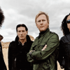 Artiste : Alice In Chains