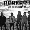 Concerts : Robert Plant