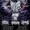 Concerts : Defeated Sanity
