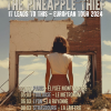 Concerts : The Pineapple Thief