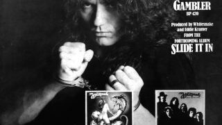 WHITESNAKE : "Guilty Of Love" Single promo ad (UK)