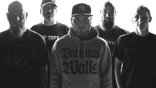 W.I.L.D. • "Drugs By Way Of Food" - Video-Premiere