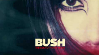 BUSH • "The Beat Of Your Heart" (Audio)