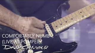 David Gilmour • "Comfortably Numb" (Live @ Pompeii DVD)