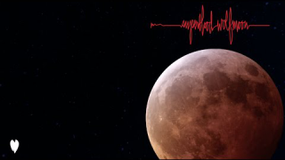 PEARL JAM • "Superblood Wolfmoon" (Audio)
