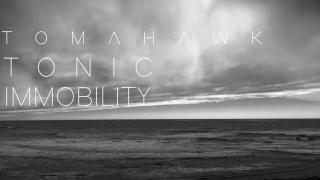 TOMAHAWK  • "Business Casual" (Audio)