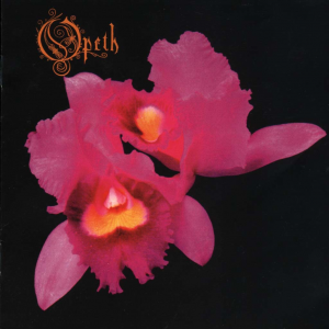 Orchid