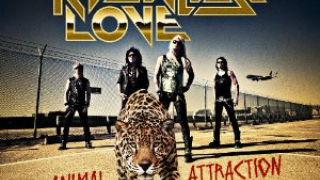 RECKLESS LOVE : "Animal Attraction" 