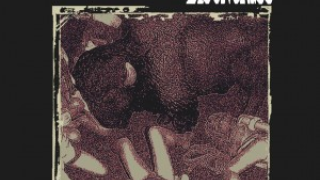 BISONGRASS : "Bisongrass" 