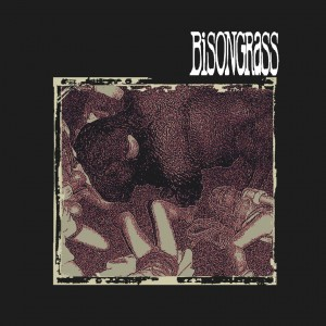 Bisongrass - Bisongrass (Sweaty Beef Records)