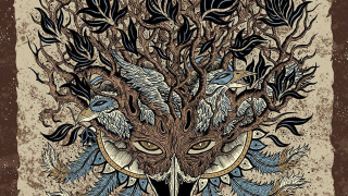 THE SOCKS : "THE SOCKS" 