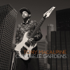Discographie : Tony MacAlpine