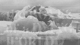 IF THESE TREES COULD TALK "The Bones Of A Dying World"