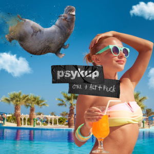 Ctrl+Alt+Fuck - Psykup