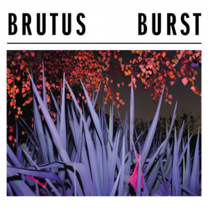 Burst (Hassle Records)