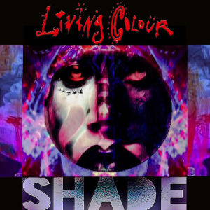Album : Shade