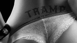 THE TRACY G GROUP • "Tramp"