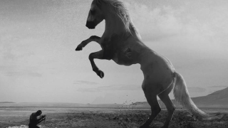 YERUSELEM • "The Sublime"