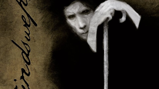 WINDSWEPT • "The Onlooker"