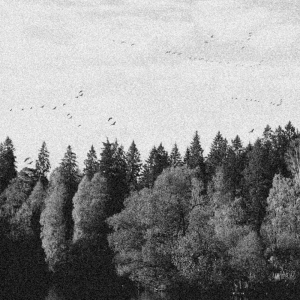 A Collapse Of Faith - October Falls (Debemur Morti Productions)