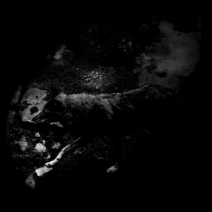 The Womb Of Primordial Nature - October Falls (Debemur Morti Productions)