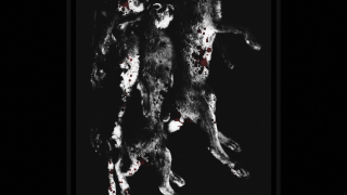 OCTOBER FALLS • "A Fall Of An Epoch"