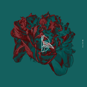 Waste - Earth Groans (Solid State Records)