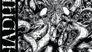 CHADHEL / ASSIDUOUS ASSAULT "Split EP"