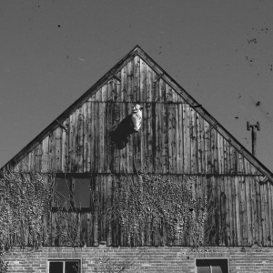 Relaas - Fluisteraars (Eisenwald)