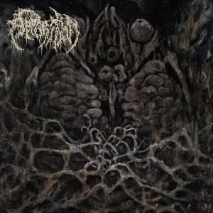 Feel - Apparition (Profound Lore)