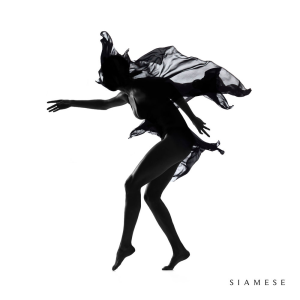 Siamese - Siamese (Long Branch Records)