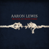 Discographie : Aaron Lewis