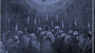 FERAL "sPIRITUAL vOID"