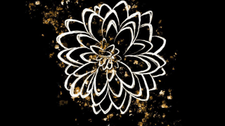 SILENT SKIES "Nectar"