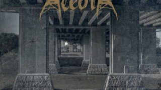 ACÉDIA "Fracture"