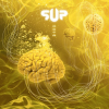 Discographie : SUP