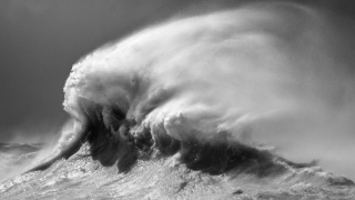 URNE "A Feast On Sorrow"