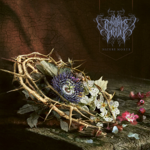 Album : Nature Morte