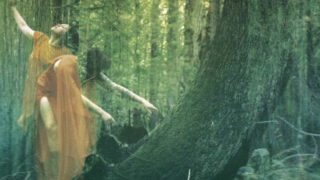 STRANGE NEW DAWN "New Nights Of Euphoria"