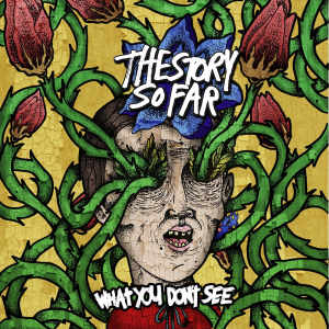 What You Don't See - The Story So Far (Pure Noise Records)